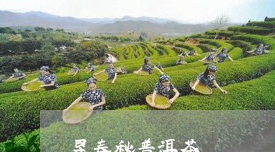 昱春秋普洱茶/2023042805287