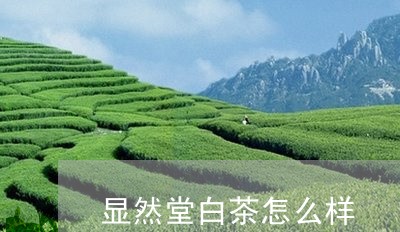 显然堂白茶怎么样/2023062115848