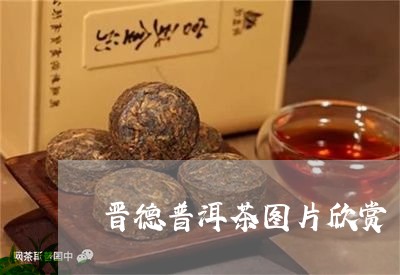 晋德普洱茶图片欣赏/2023121641703