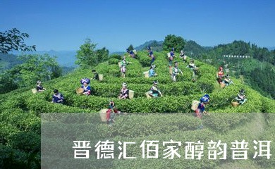 晋德汇佰家醇韵普洱茶/2023092650693