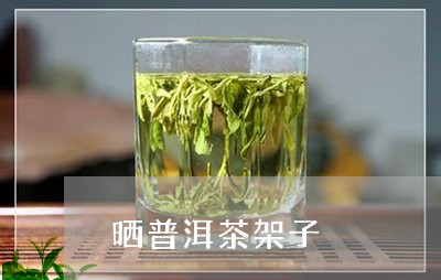 晒普洱茶架子/2023042602994