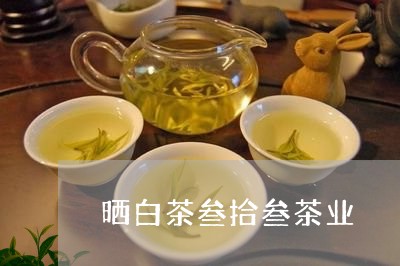 晒白茶叁拾叁茶业/2023062187582