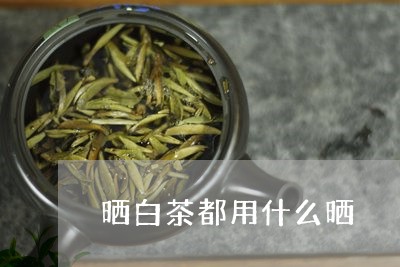 晒白茶都用什么晒/2023062111795