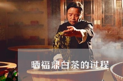 晒福鼎白茶的过程/2023062871926