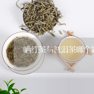 晒红茶与普洱茶哪个好喝/2023112827272