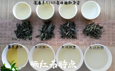 晒红茶特点/2023090201615