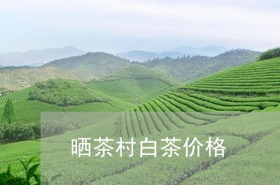 晒茶村白茶价格/2023060121527