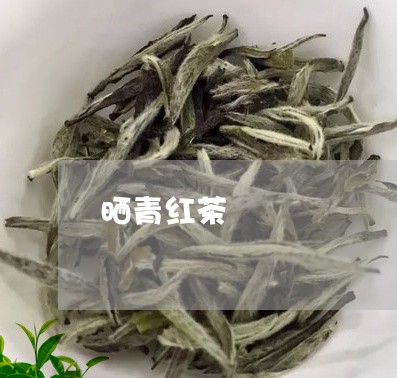 晒青红茶/2023121993937