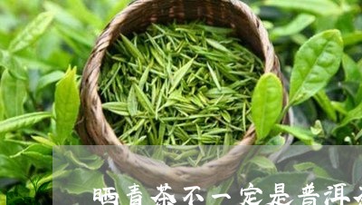 晒青茶不一定是普洱茶吗/2023110140815