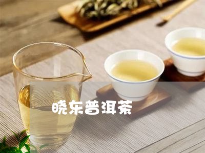 晓东普洱茶/2023081823717