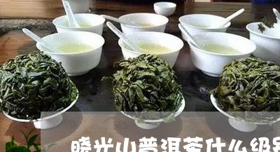 晓光山普洱茶什么级别/2023062453049