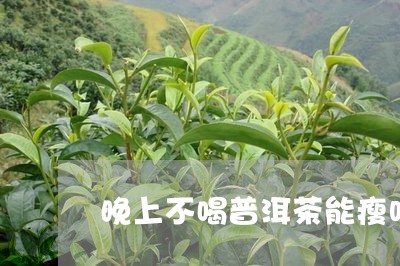 晚上不喝普洱茶能瘦吗/2023061663816