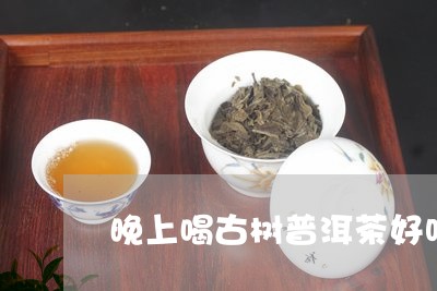 晚上喝古树普洱茶好吗/2023120758469