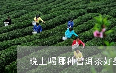 晚上喝哪种普洱茶好些呢/2023122851692