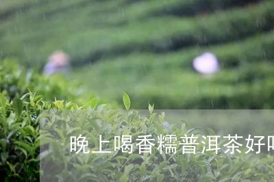 晚上喝香糯普洱茶好吗/2023062402919