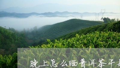 晚上怎么晒普洱茶干好/2023082933726