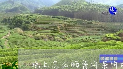 晚上怎么晒普洱茶饼好/2023121692847