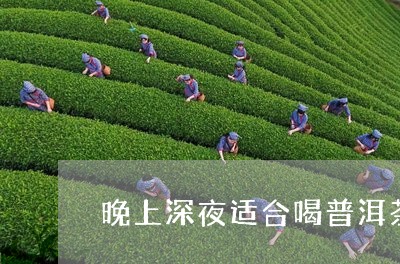 晚上深夜适合喝普洱茶吗/2023112838359