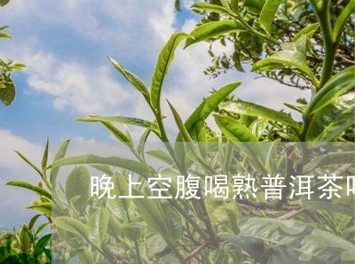 晚上空腹喝熟普洱茶吗/2023072242939