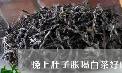 晚上肚子胀喝白茶好吗/2023100262837