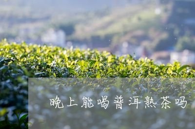 晚上能喝普洱熟茶吗/2023042732514