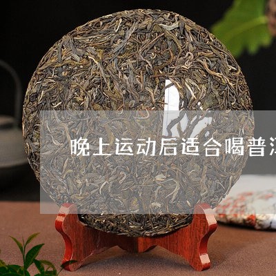 晚上运动后适合喝普洱茶/2023103185139