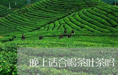 晚上适合喝茶叶茶吗/2023042549583