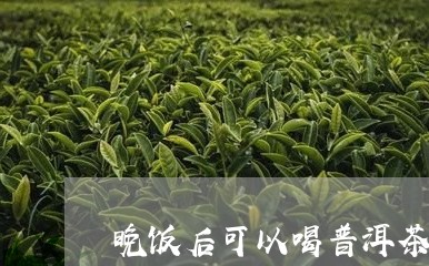 晚饭后可以喝普洱茶么早上/2023082907158