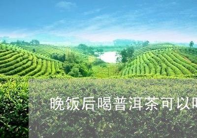 晚饭后喝普洱茶可以吗/2023072236591