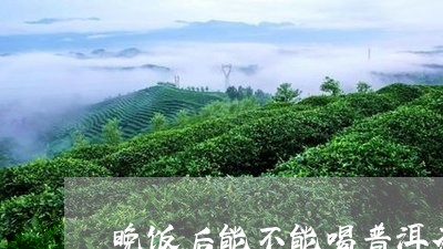 晚饭后能不能喝普洱茶/2023061928361