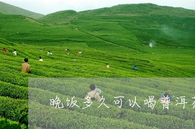 晚饭多久可以喝普洱茶/2023100662838