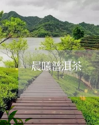 晨曦普洱茶/2023090530414