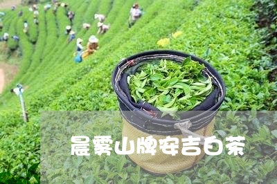 晨雾山牌安吉白茶/2023062140492