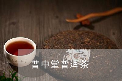 普中堂普洱茶/2023042774171