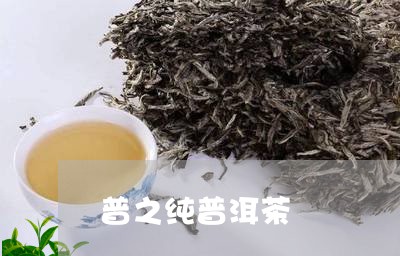 普之纯普洱茶/2023042504769