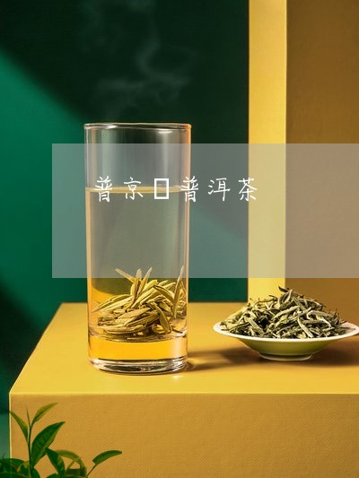 普京號普洱茶/2023042604383