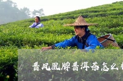 普凤凰牌普洱茶怎么样/2023072337183