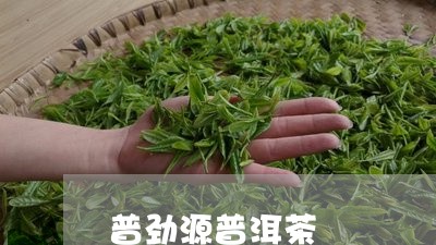 普劲源普洱茶/2023042551025