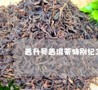 普升号普洱茶特别纪念饼/2023110125271