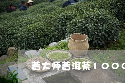 普大师普洱茶1000g/2023081477591