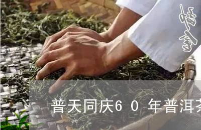 普天同庆60年普洱茶价格/2023110474726