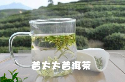 普太太普洱茶/2023042789577