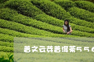 普文云芽普洱茶5568/2023120795948