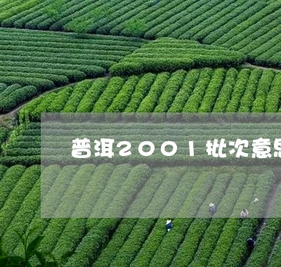 普洱2001批次意思/2023092481683