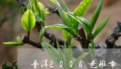 普洱2006老班章/2023042741816