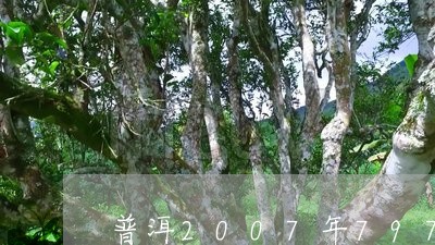 普洱2007年7978熟茶价格/2023060330937