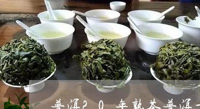 普洱20年熟茶普洱十年的价格查询/2023060336047