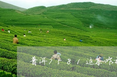 普洱7581这茶咋样/2023092515150