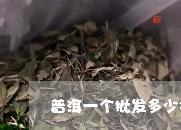 普洱一个批发多少钱/2023042764038