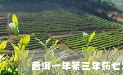 普洱一年茶三年药七年宝是什么意思/2023060306351